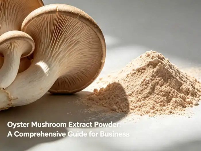 The Manufacturing Process of Oyster Mushroom Extract Powder